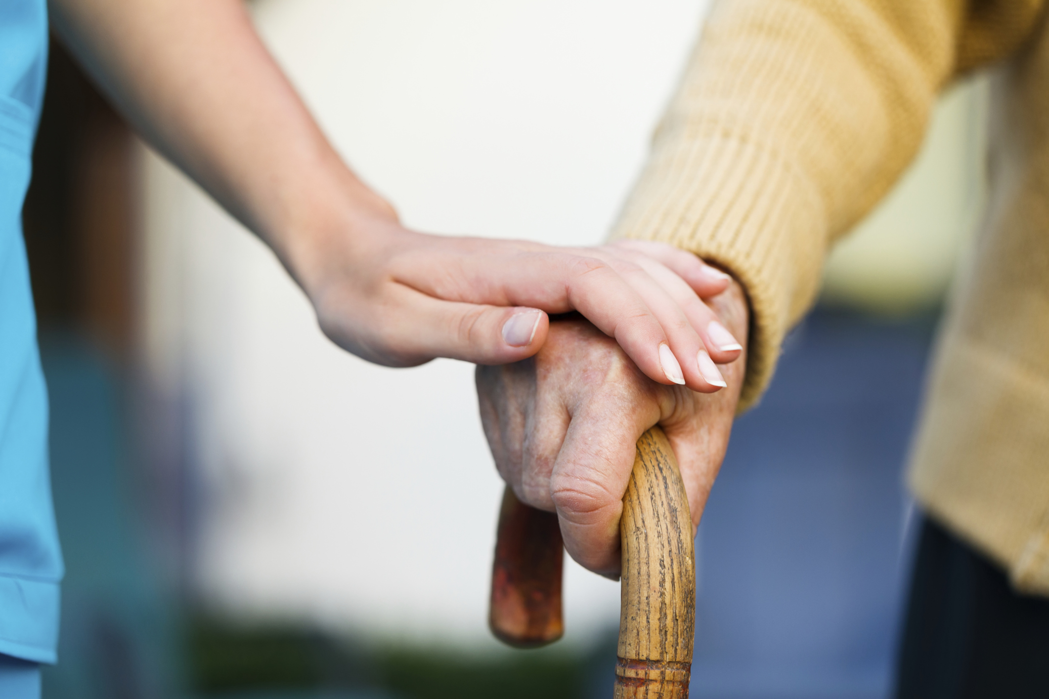 Helping Seniors Grow